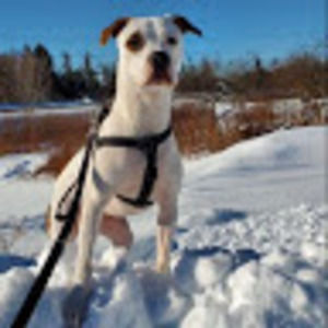 Meet your Posher, Alysa